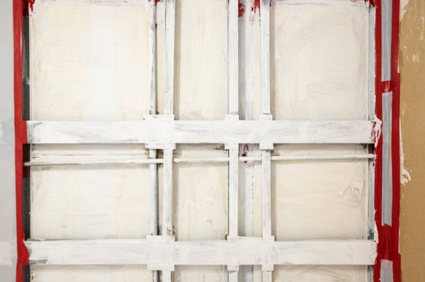  Carthage, NC Mold Removal Pros