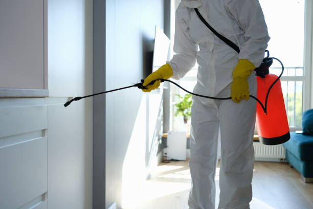 Best Forensic Mold Investigation  in Carthage, NC